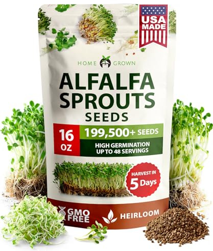 HOME GROWN Non GMO Alfalfa Sprout Seeds 16oz Bulk Pack with Thousands of Seeds Alfalfa for Sprouting & Microgreens Indoor Outdoor Growing Resealable Bag High Germination