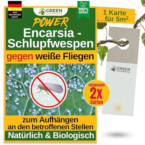 GREEN GUARDIA Encarsia Schlupfwespen gegen weiße Fliege – 2x Karten für 10m² - Natürlich weiße Fliegen bekämpfen, ideal für Innenräume & Gewächshaus, chemiefrei & sicher