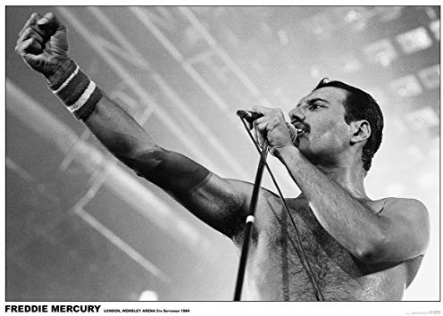 Queen Freddie Mercury - Wembley Arena, London 1984 Unisex Poster multicolor