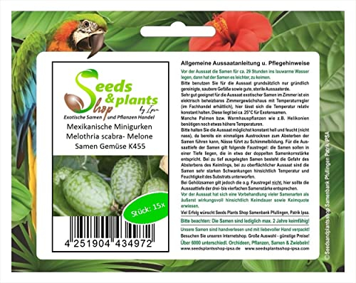 Stk - 15x Mexikanische Minigurken Melothria scabra Melone Gemüse Pflanzen - Samen K455 - Seeds & Plants Shop by Ipsa