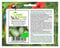 Stk - 15x Mexikanische Minigurken Melothria scabra Melone Gemüse Pflanzen - Samen K455 - Seeds & Plants Shop by Ipsa