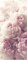 wandmotiv24 Türtapete Duftrosen Rosa Weiß, Rose, Blumen 90 x 200cm (B x H) - Dekorfolie selbstklebend Sticker für Türen, Türfolie, Aufkleber, M1225