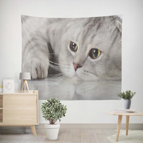 EHOMERY Tapiz Volante Tapiz De Suelo Piscina Rectangular Gato Tapiz Playa Toalla Tapiz Piscina Barato Decoración Colgante De Salón Dormitorio 260x240cm