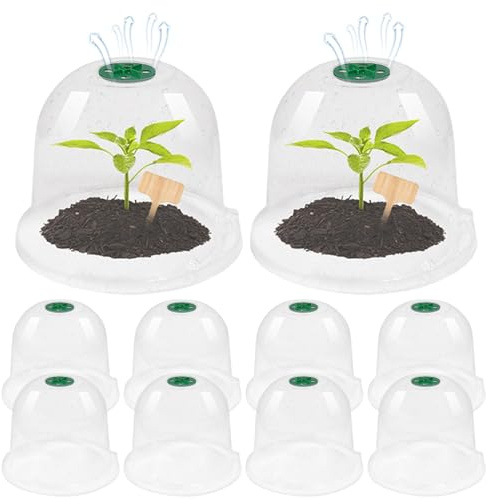 10 Pièces Cloche Pour Pla-ntes De Jardin, Dôme D'humidité Pour Plan-tes, Plan-tes Succulentes Couvercle En Plastique Jardin, Couverture De Cloche De Dôme De Pla-nte -ni Serre En Plastique(16x18 Cm)