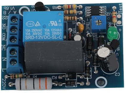 Module de Relais Temporisé avec Interrupteur à Retardement de 220 VCA(0~10Sec)
