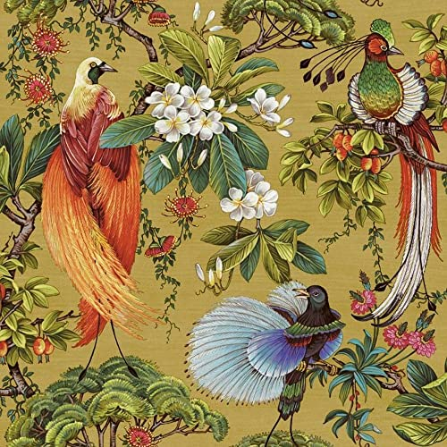 Papier Peint Outside In Songbird - Multi/Ocre - Oiseaux - Floral - Holden 13151