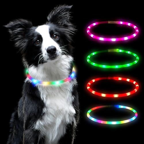 AUAUY LED Leuchthalsband Hund, USB Aufladbar Längenverstellbarer Haustier Sicherheit Silikon Kragen Zuschneidbares Wasserdicht Leuchthalsband für Hunde und Katzen, 4 Modus (Bunt)