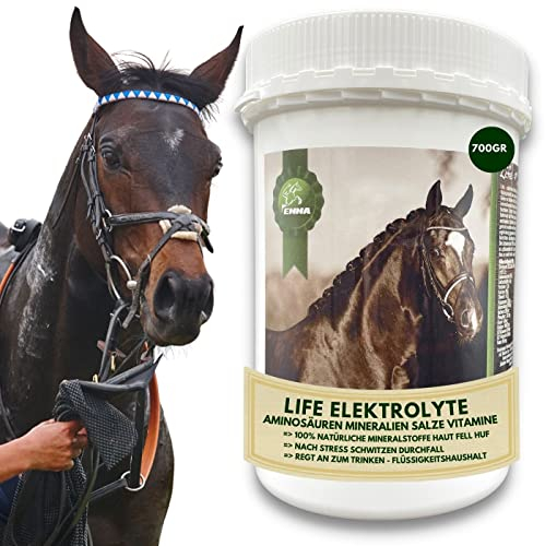 Pferde Elektrolyte Pulver & Aminosäuren komplex I Elektrolyt Pulver Kalium Natrium Calcium Magnesium Elektrolyten Aminosäuren Pferd I Elektrolyte Pferd Hydraid bei Durchfall Kotwasser Schwitzen 700g