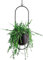 Anawakia Hängender Blumentopf Metall Hängend Blumenampel Hängende Blumenampel Metall Dekorationstopf Decke hängender Übertopf Pflanzkorb (Schwarz Oval)