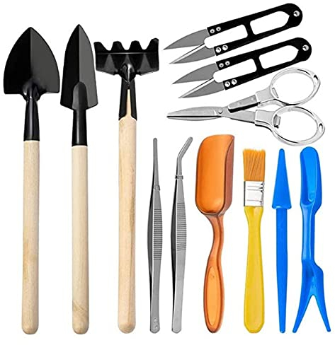 Böden Sukkulenten Sämling Scheren-Set Bürste Gartenarbeit Topf Mini Trimming Transplanter 12-teilige Werkzeuge Terrasse Rasen & Garten Unkrautentfernung (Multicolor, One Size)