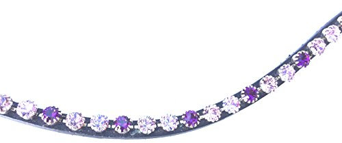 Gs-Reitsport Stirnriemen Stirnband für Trensen mit geschliffenen Kristallen edel und elegant (40 cm)