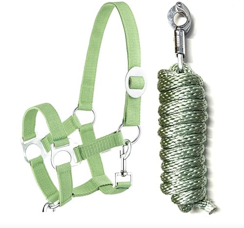 Halfter Führstrick Set mit Karabinerhaken verstellbar Pferdehalfter Pferd Holzpferd Anbindestrick (Panikhaken Grün, Pony)