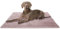 Knuffelwuff Hundedecke Timor 80x60cm Rosa - Bequeme und Pflegeleichte Liegedecke aus weichem Cord - waschbar - für große, mittelgroße und kleine Hunde