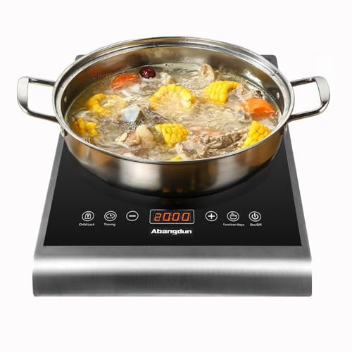 Abangdun Placa de inducción 2000W Placa Inducción Portátil, 10 Niveles de Potencia 200W-2000W, Rango de Temperatura 60-240°C, Pantalla LED, Temporizador de 18 Horas, 190-240V