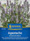 Kiepenkerl Agastache Koreanische Minze 1054860 - Würz- und Teekraut - Anis- Minze Geschmack - Zierstaude - Pflanzen Samen, Saatgut, Kräutersamen