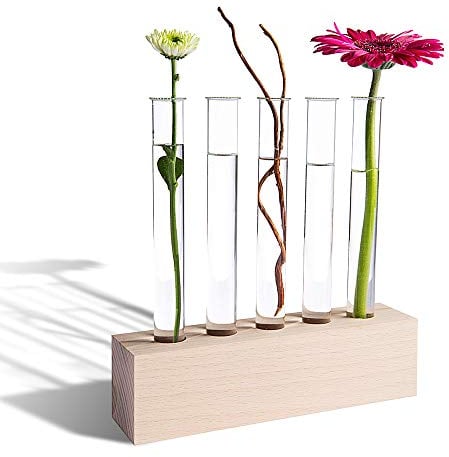 Tuuters Reagenzglas Vase aus Holz – Moderne Tischdeko, inkl. hochwertigen Reagenzgläsern (Buche 5-Loch)
