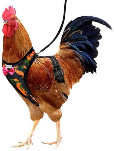 Yesito Hühnergeschirr, verstellbar, mit Tarnmuster und atmungsaktivem Stoff, inklusive strapazierfähiger 1,6 m passender Leine für sicheren Auslauf (S, Tarnmuster-Grün)