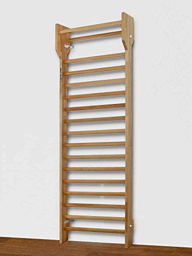 ARTIMEX Kit échelle suédois pour la physiothérapie et la Gymnastique dans Les Maisons, salles de Fitness, cliniques et écoles - 240 x 90 cm, Code 216-F