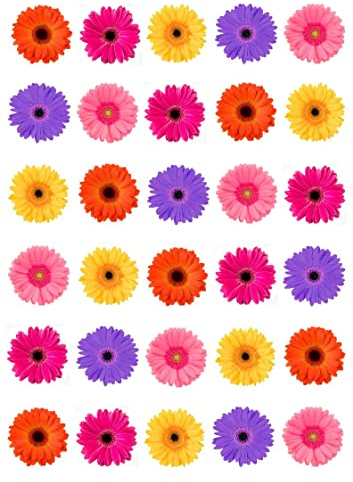 30 Gerbera Mixed Colours Single Edible Rice Wafer Paper Cupcake Toppers Cake Decorations Flowers