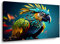 Visario Leinwand Bild Papagei Vogel Bunt Nr 4057 80 x 60 cm Leinwand Bild Wanddeko hochwertig Wohnzimmer Büro Druck