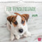 Harenberg Für Hundefreunde - Kalender 2024 - Monatskalender - Groh-Verlag - Wandkalender mit stimmungsvollen Fotografien und Zitaten - 21 cm x 21,3 cm