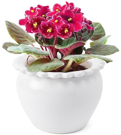 Tbpro Afrikanische Veilchen-Töpfe, 20,3 cm, weiße Keramik, einfache Selbstbewässerung, Keramik-Blumentopf, hohe Absorption, Orchideen-Pflanzgefäß, einfache Pflanze, selbstbewässernder Topf für