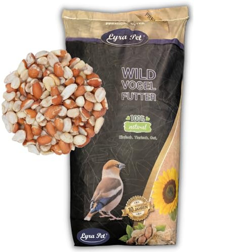 Lyra Pet® | 25 kg Erdnusskerne Splits blanchiert & mit Haut gemischt | Neue Ernte | Ganzjahres Vogelfutter für Wildvögel | Reich an Ballaststoffen & Vitaminen | Fetthaltige Erdnüsse mit & ohne Haut