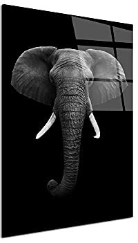 DECLINA – Tableau Mural Animaux Elephant – Art Mural Safari – Impression Haute Définition Sur Verre Acrylique – Fabrication Française – 60 x 100 cm
