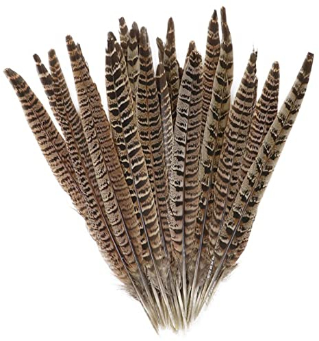 Lowats Fasan Federn 20 Stück Fasan Schwanzfedern Natural Craft Feather Natur Dekoration Hahnfeder Natürliche Hahnenfedern Fasanenfedern ​Basteln Federn 25-30cm für Basteln Zuhause Dekor