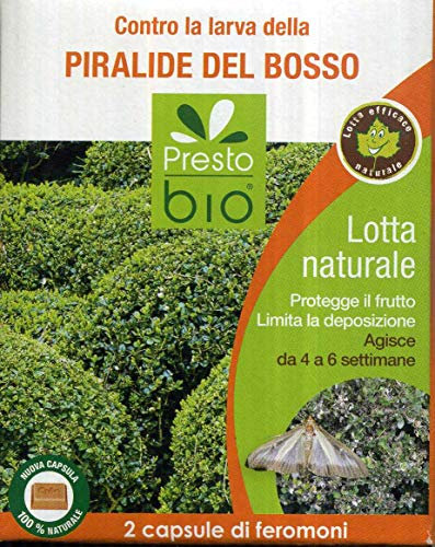 PRESTO BIO Trappola a ferormoni per la Cattura di Vari Insetti Completa con Due Capsule di ferormoni specifici (PIRALIDE del BOSSO)