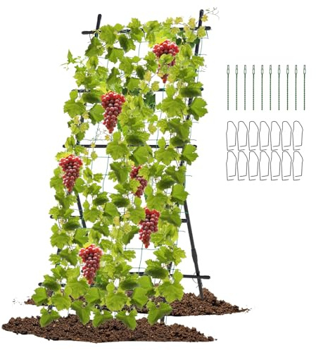 COSTWAY Treillis de Jardin en Cadre A avec Filet | Support pour Plantes Grimpantes avec Poteaux Métalliques Recouverts de Plastique, pour Fleur Vigne Légumes