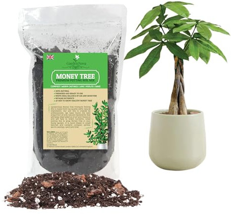 Money Tree Soil Mix for Planting or Repotting Guiana Chestnut, Soil Blended to Properly Grow Money Tree Plants - (2 Liters Bag)