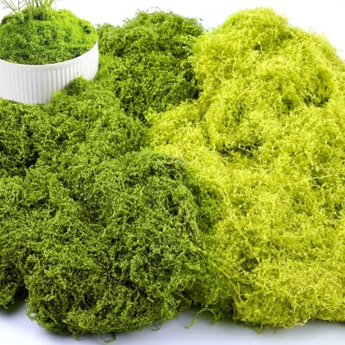 YAMAIDUO 200g Mousse Artificielle, Réutilisable Réaliste DIY Mousse Verte, Mousse Stabilisée Fausse Herbe pour Décorations, Peintures de Mousse, Artisanat et Fleurs, 100g Vert Foncé + 100g Vert Clair
