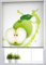 Estoralis Cocina| Estor Enrollable Diseño Moderno|Sin Taladrar Translúcido Estampado | Modelo C-1203 | 120 x 150 cm (Ancho/Alto) Tamaño Tela 117 x 150 cm | Estores para Ventanas y Puertas