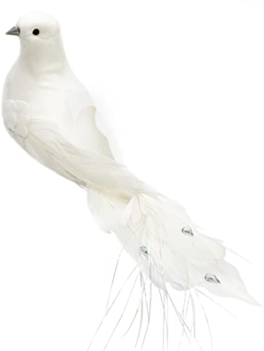 Knüllermarkt 33929 I Turteltauben Hochzeitstauben Taube Hochzeit Verlobung Silberhochzeit Goldhochzeit Diamanten Weiss Federn Vögel Tauben