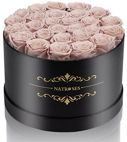 NATROSES 27 Stück Forever konservierte Rosen in einer Box, konservierte Blumen für Lieferung Geburtstag, Blumen Geschenke für Muttertag, Dusty Pink