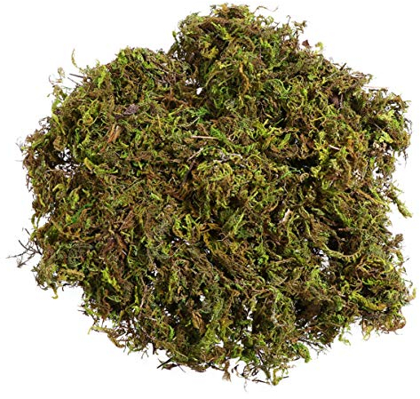 DECHOUS Artificial Moss for Indoor Plants: 60g Green Faux Moss for Crafting - Ideal for Plants Pots, Home, Garden, Looking Realistic