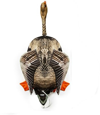The Original Clone® Realistic Game Bird Dog Training Dummies - Canvas Dummy With HD Feather Print For Gundog & Puppy Training - Gundog Training Equipment (Goose Dead Bird Dummy)