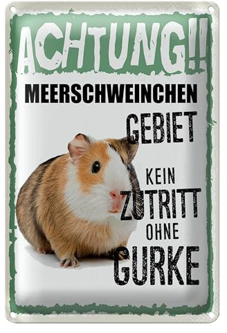 Achtung!! Meerschweinchen Gebiet | Kein Zutritt ohne Gurke | Lustiges Blechschild | 20 x 30cm