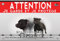 Pancarte métal Attention au chien staffie noir