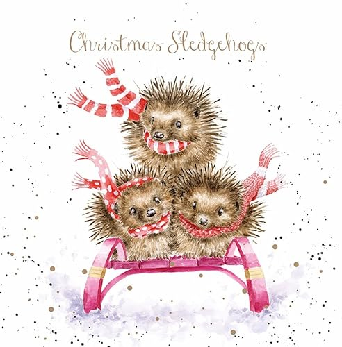 Wrendale Designs by Hannah Dale - „Sledgehogs“ - Weihnachtskarten-Schachtelset - 8 Stück