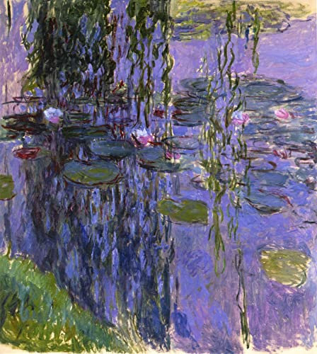 DTAUPREB Peinture par numéros pour adultes Kits de peinture à l'huile de bricolage Nénuphars Claude Monet Peinture par numéro Dessin sur toile Art Décor Cadeaux