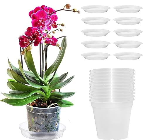Pizsieat 10 Pieza Vaso Trasparente per Orchidee,Vaso Orchidea Trasparente 11,5cm Vasi per Orchidee Trasparenti con Fori Drenaggio e Sottovaso per Interni, Esterni, Giardino ed Balcone