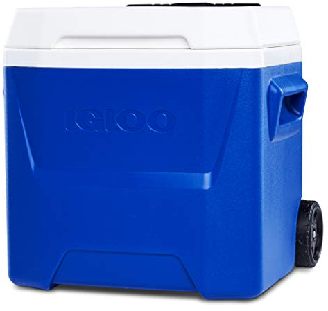 IGLOO