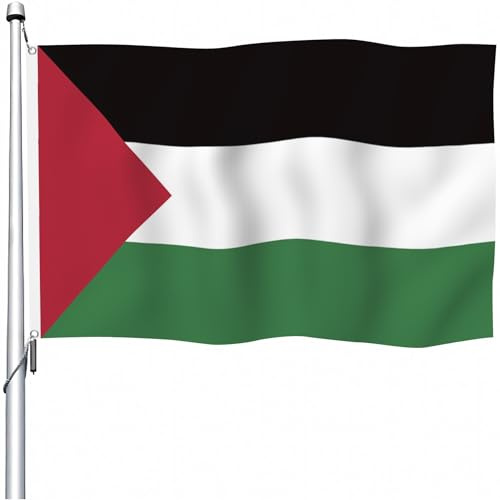 Aoihrraan Bandera Palestina 80x120cm Doble Cara Bandera Palestina Celebración Al Aire Libre Pancarta Jardín Familiar Fiesta Bandera Decorada Con 2 Anillos Fuertes