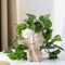 Udream Groot Plant Pot Flowerpot Baby Groot Figures Cute Model, Succulent Planter Cute Green Plants Flower Pot with Hole Pen Holder (Meditation Girl White)
