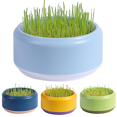 Firulab Cat Grass Growing Kit, Cat Grass Bowl Planter Tray, Catnip and Bowl Cat Grass Kit with Seeds, Soil Kitten Grass Growing Kit for Cat Snacks