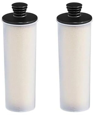 RAYPUR Filtro de descalcificación de Agua Limpia Vertical Premium, Cartucho de Filtro de Agente de Barra de descalcificación Compatible con Karcher SC2 SC3 (Color : 2pcs)