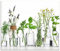 ARTLAND Spritzschutz Küchenrückwand Küche Herd Glas mit Motiv 60x50 cm Desgin Modern Kräuter Pflanzen Blumen Basilikum Lavendel Gewürze H9KE