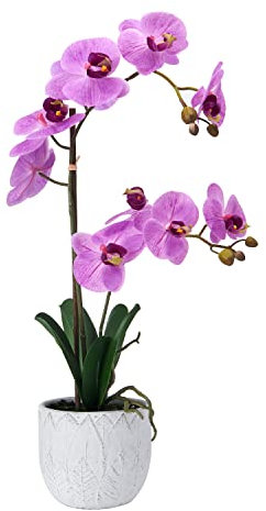 MIKASA Künstliche Orchidee im Topf, fühlt Sich echt an, Phalaenopsis-Orchidee, künstliche Blumendekoration für Hochzeit, Zuhause, Büro, Party, Hotel, Salon, 55,9 cm, Fuchsia